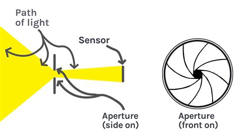 APERTURE EXPLAINED: What is APERTURE in PHOTOGRAPHY?