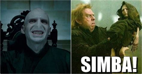 Harry Potter: 10 Hilarious Voldemort Memes Devoted Fans Will Love