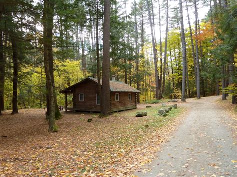 Pine Cone Johnny: Trees of Peace: Mohawk Trail State Forest