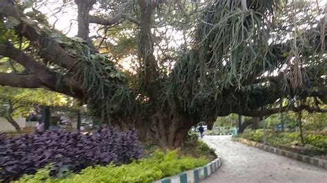 A beautiful park in Koramangala, Bangalore - YouTube