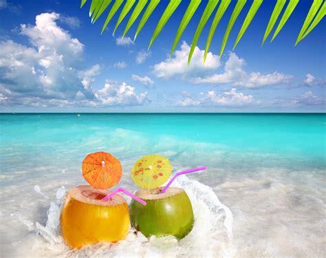 Funny Summer Wallpaper Desktop - WallpaperSafari