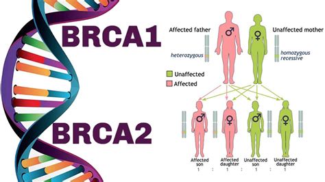 Cancer : An estimated 19 million people worldwide carry mutations in ...