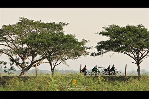 PAMPANGA | Candaba Swamp Travel Tips - Lakad Pilipinas