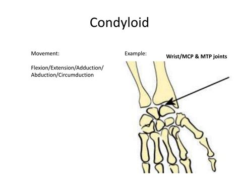 PPT - Types of Synovial Joints PowerPoint Presentation, free download ...