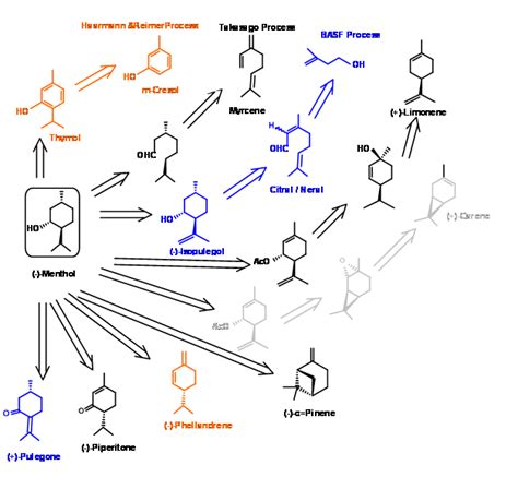 6: Strategies in (-)-Menthol Synthesis - Chemistry LibreTexts