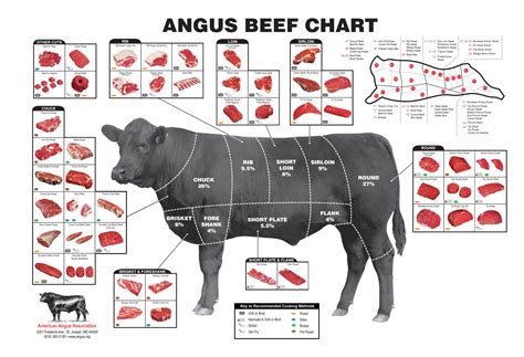 DSR Cattle - Beef Sizes and Cuts