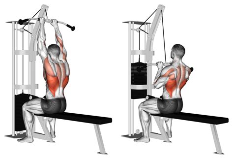 lat pulldown machine benefits - Sydney Kohn