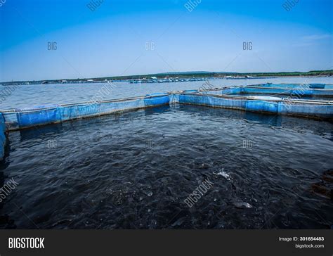 Fish Cage Farming Image & Photo (Free Trial) | Bigstock