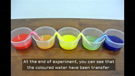 Capillary Motion -Why the combination of adhesive forces and cohesive ...