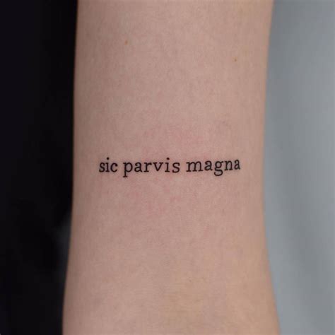 "Sic Parvis Magna" lettering tattoo on the bicep