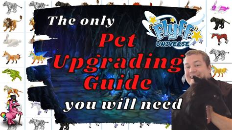 Flyff Universe - Pet Guide all you need to know about raised Pets ...