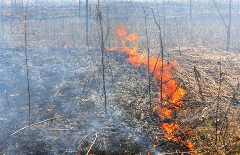 Controlled Burning Tips for Your Farmland | Heritage Brokers & Auctioneers