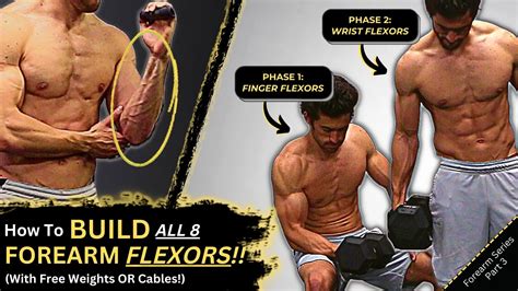 How to Build ALL 8 Forearm Flexors (4 Finger Flexors + 4 Wrist Flexors ...