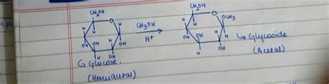 organic chemistry - Glycoside Formation Reaction - Chemistry Stack Exchange