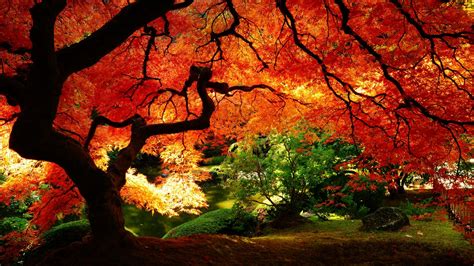 🔥 [40+] New England Fall Foliage Wallpapers | WallpaperSafari