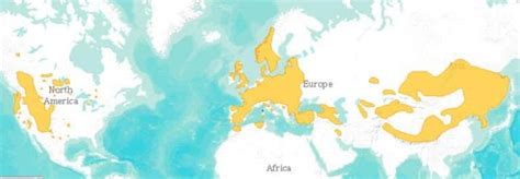 Red Deer Population Map - Altina Wildlife Park