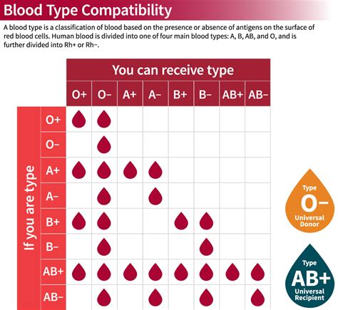 Blood Type Compatibility Chart — Stanford Blood Center