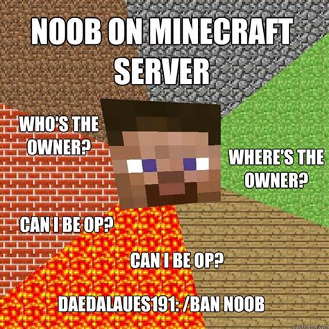 Noob on minecraft server Where's the owner? Who's the owner? Can I be ...