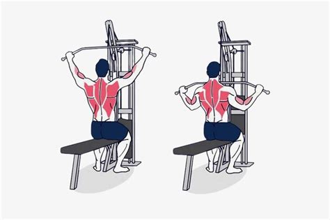 Analysis Of The Lat Pulldown Exercise, 50% OFF