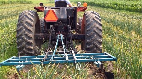 Pin on Garlic Equipment