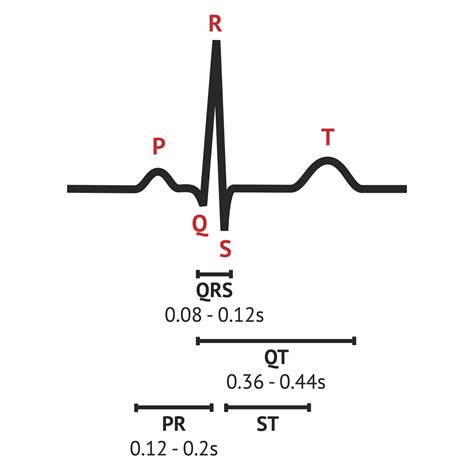 The Normal ECG Trace / ECG Interpretation - MedSchool