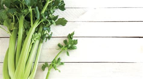 More Than Vitamin K: Celery's Top Benefits - Life Extension