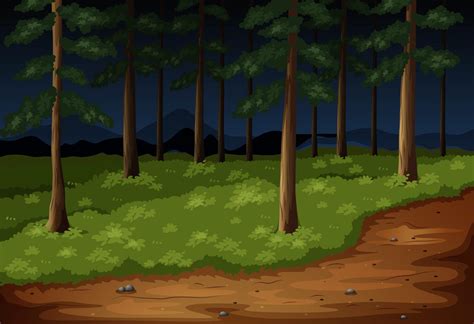 Forest scene with trees and trail at night 303514 Vector Art at Vecteezy