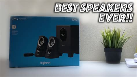 LOGITECH Z313 Speaker System Unboxing and Setup!! - YouTube