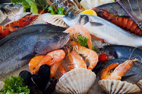 Fresh Seafood Free Stock Photo - Public Domain Pictures