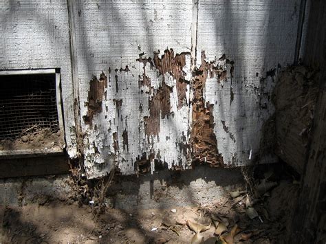 Termite Damage Signs - What Does They Look Like? (Pictures) | PestsGuide