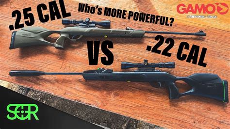 Gamo Magnum .22 VS .25 WHICH IS MORE POWERFUL?! - YouTube