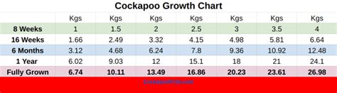 Cockapoo Weight Chart (What should your cockapoo weigh?) – Cockapoo Pride