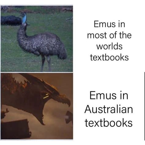 Emu war : r/memes