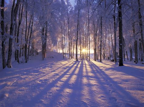 🔥 [74+] Winter Scenes Backgrounds | WallpaperSafari