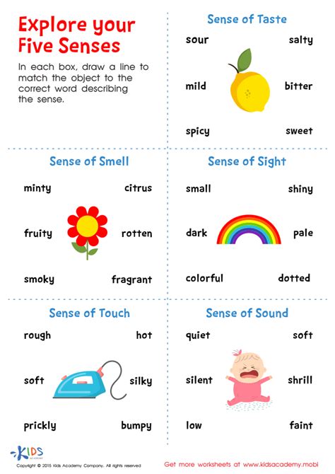 Sensory Worksheets For Kids Printable - Free Printable Worksheet