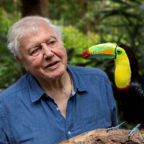 BBC announces new David Attenborough series Life in Colour