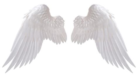 Free Angel Wings Png, Download Free Angel Wings Png png images, Free ...