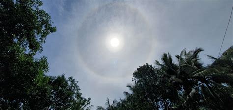 My gf took this pic of a full circle rainbow this morning. : r/pics