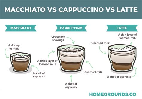 Cappuccino Vs. Latte Vs. Macchiato: The Obvious Differences