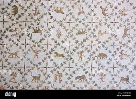 Mosaic in El Djem Museum, Tunisia Stock Photo - Alamy