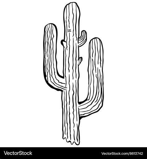 Simple black and white cactus Royalty Free Vector Image