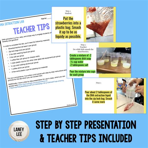 DNA Extraction Lab - Laney Lee