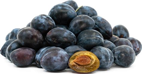 Italian Prune Plums Information and Facts