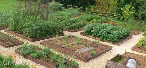 How to Plan a Vegetable Garden: A Step-by-Step Guide