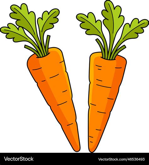 Carrots vegetable cartoon colored clipart Vector Image