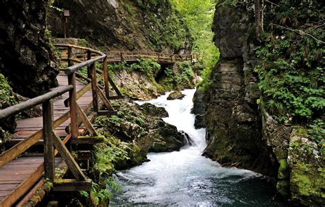 The Vintgar gorge | Visit slovenia, Lake bled, Bled slovenia