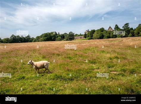 Battle, July 2021: The battlegrounds of Senlac Hill in Battle in East ...