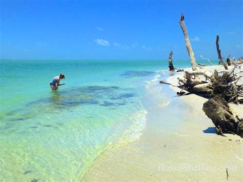 Welcome to Cayo Costa Island State Park With nine miles of beautiful ...