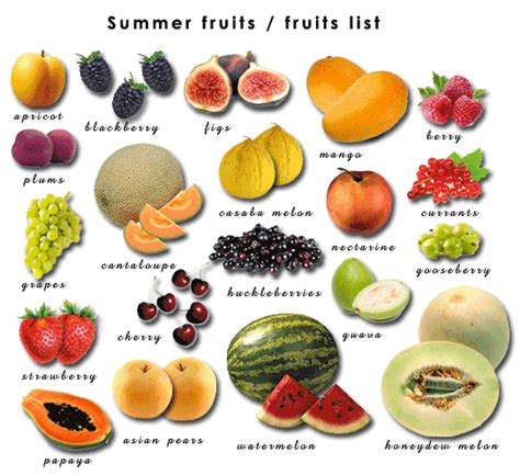 Seasonal Fruits | Winter and Summer Fruits | Spring Fresh Fruit