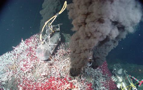 Deep Hydrothermal Vent - Oceana